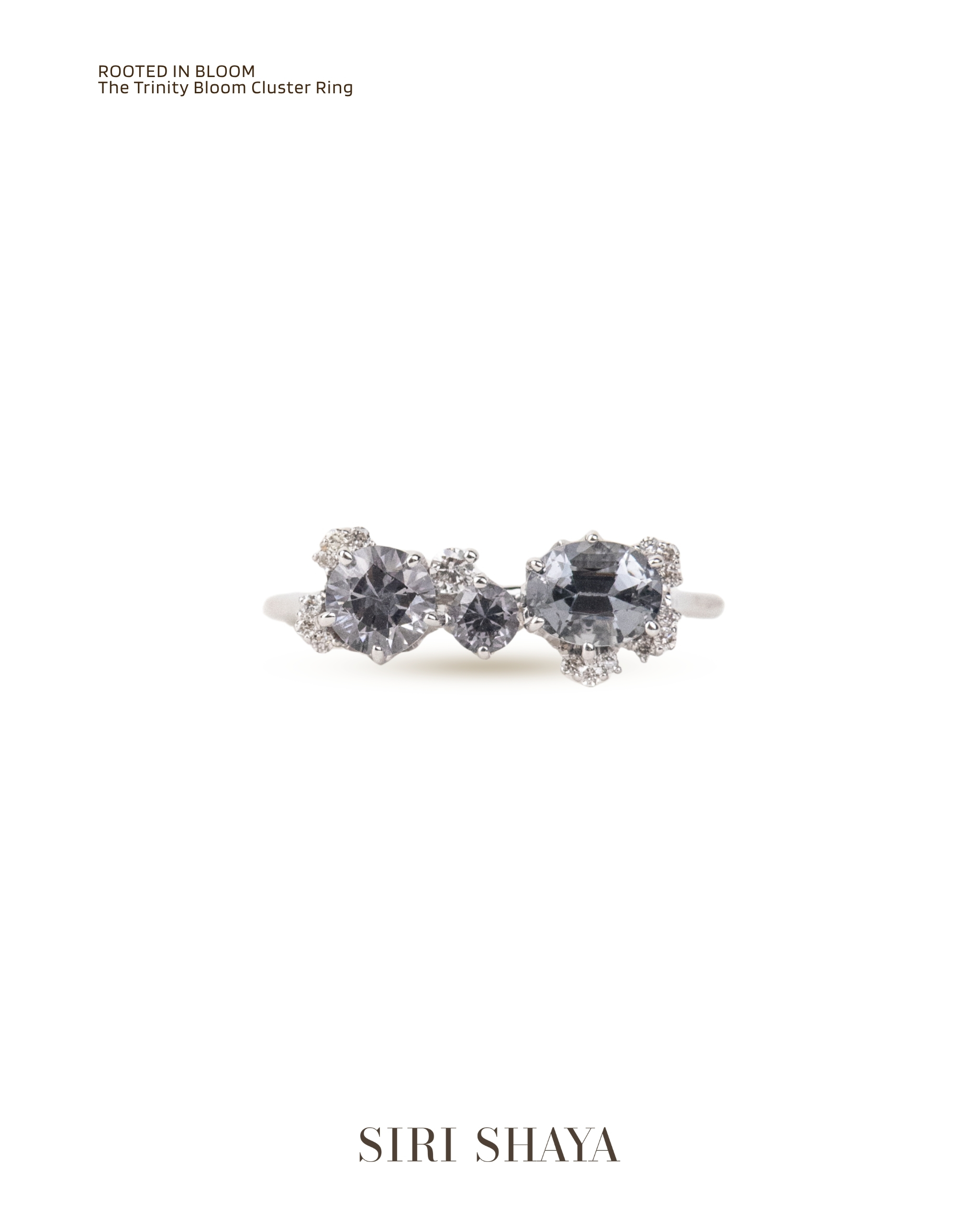 The Trinity Bloom Cluster Ring